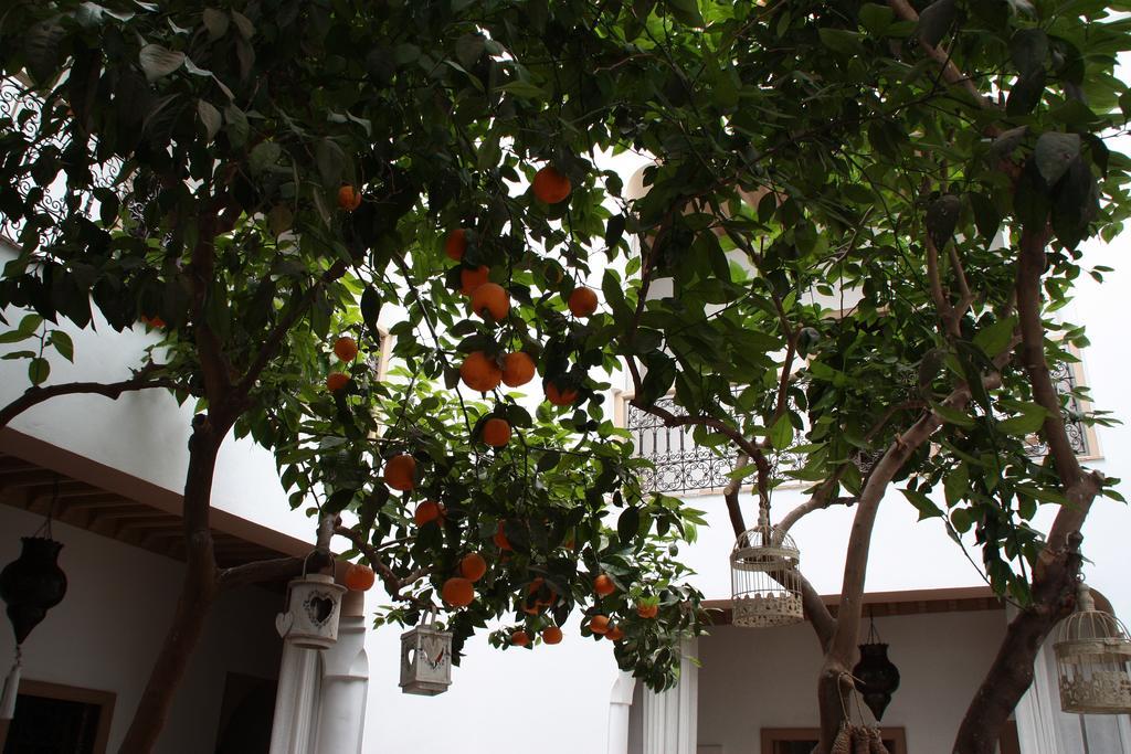 Riad Les Orangers D'Alilia Marrakesh Exterior photo